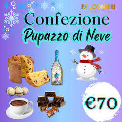 BOX - Natale Pupazzo di Neve